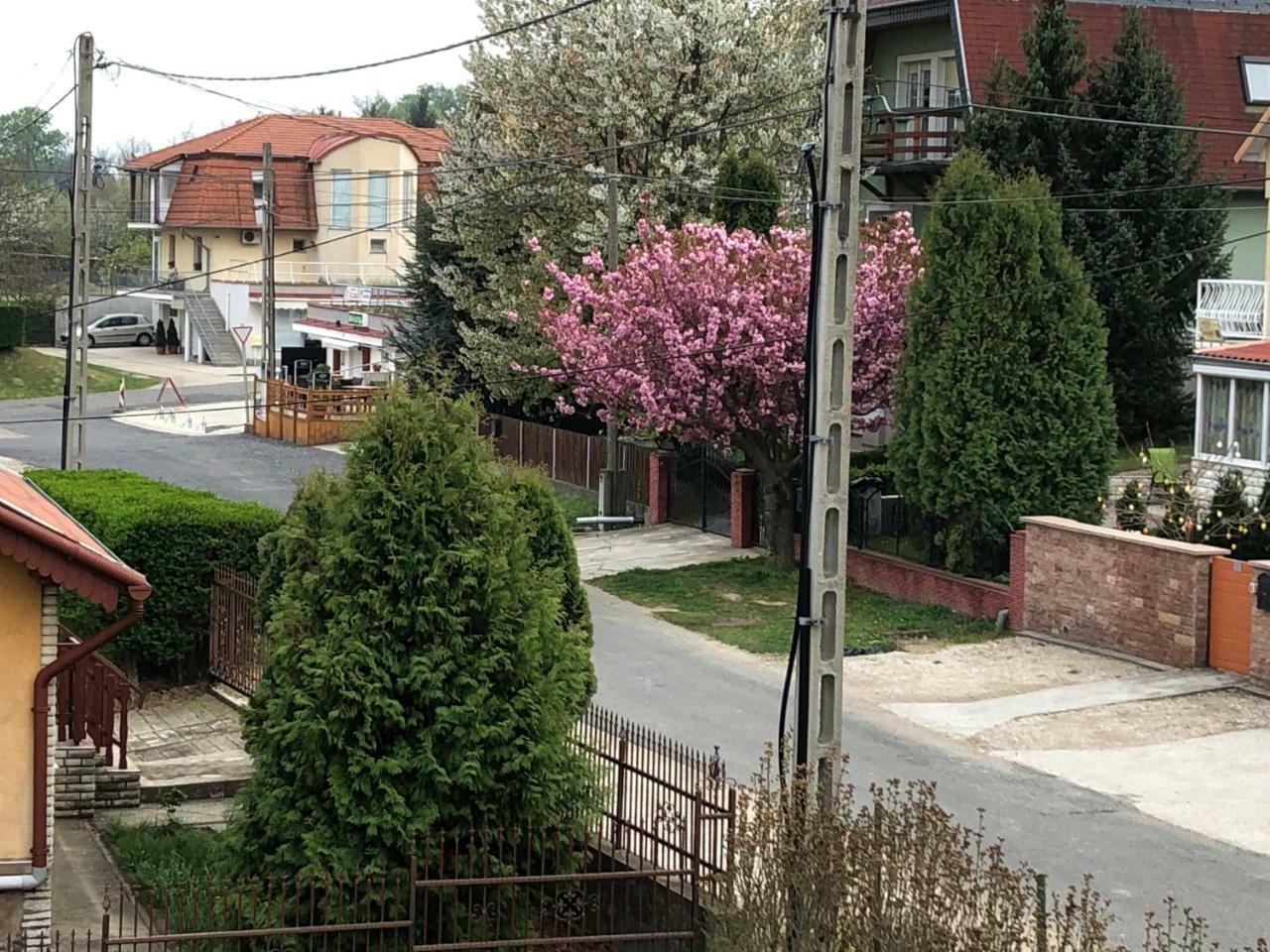Jozsef Apartments House Zalakaros Dış mekan fotoğraf