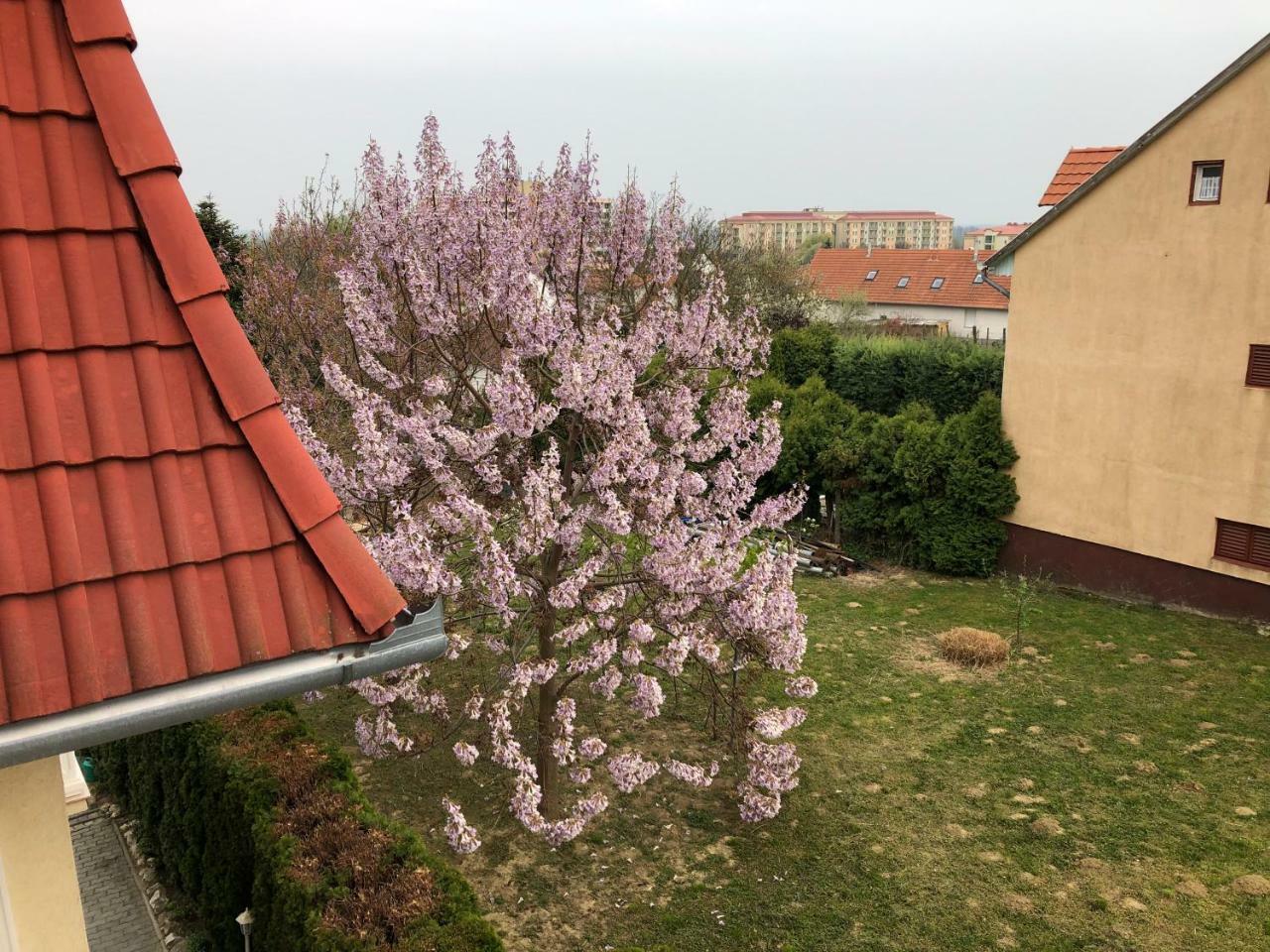Jozsef Apartments House Zalakaros Dış mekan fotoğraf