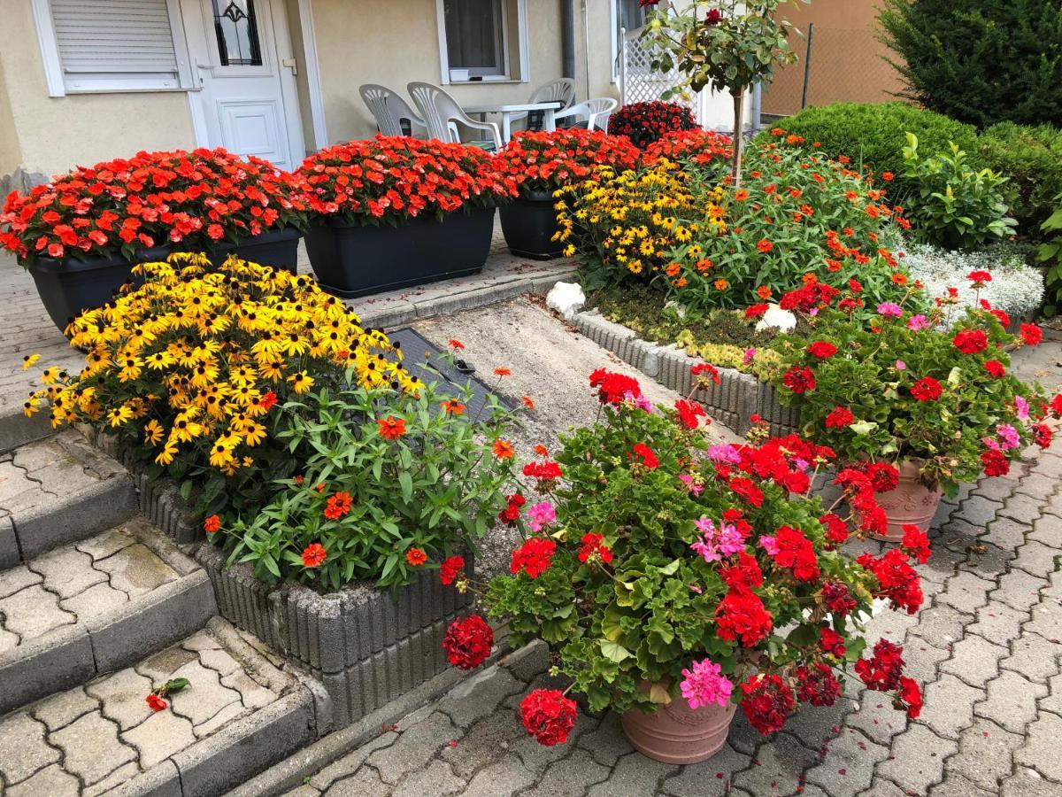 Jozsef Apartments House Zalakaros Dış mekan fotoğraf